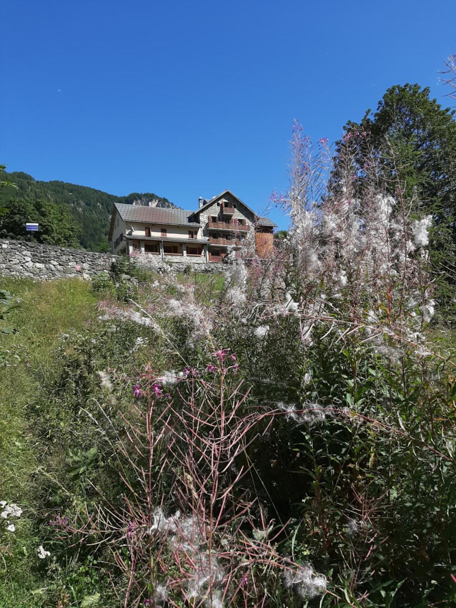 Hotel Chalet Du Bon Air Peisey-Nancroix Exterior photo